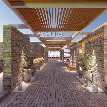 Paloma Orenda 5* シダ