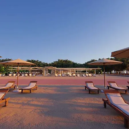 Paloma Orenda Σιντέ